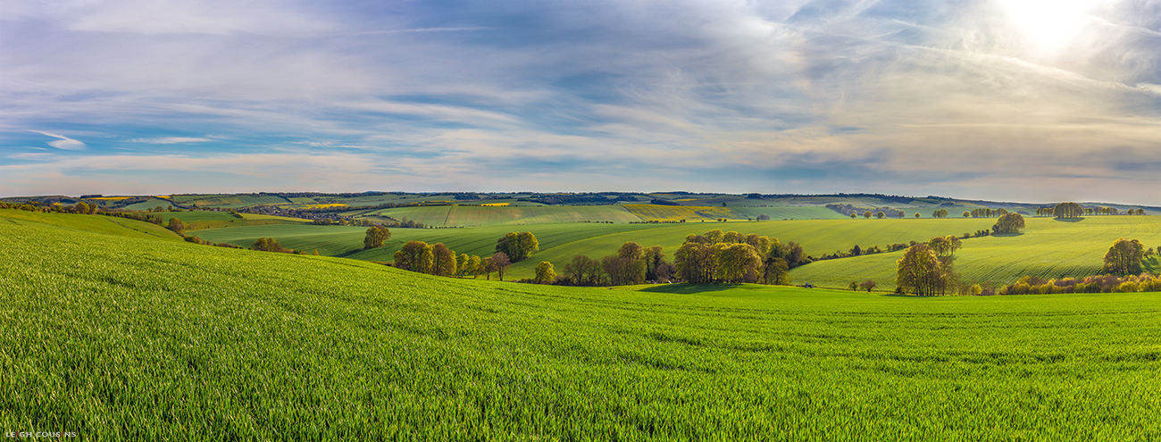 Wiltshire Panoramic
