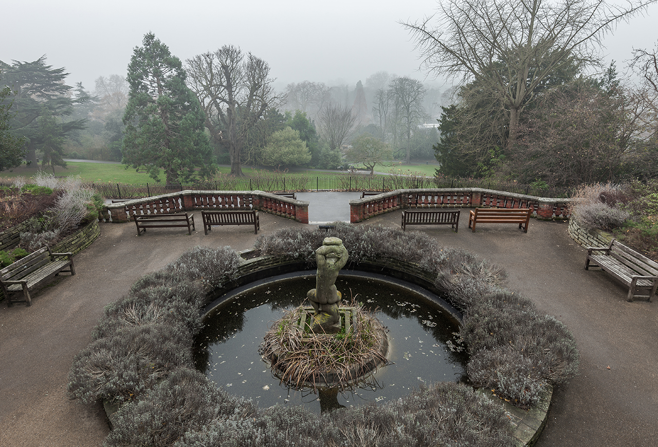 Foggy Terrace Gardens